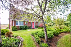 Photo 45- click for photo gallery